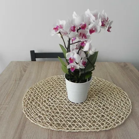 Starowka * كولوبرزيغ